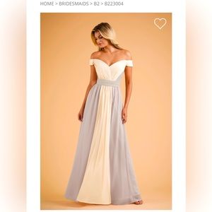 NWT Two Toned Dress with Portrait Neckline and Cinched Waist